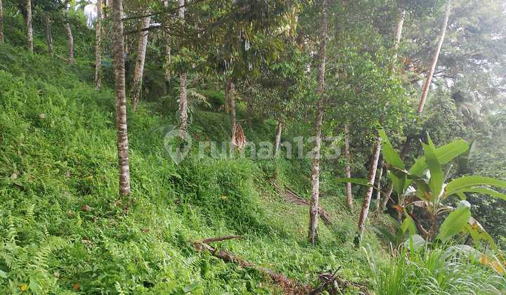 Villa Jual Lokasi Rendang