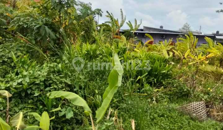 Land for Sale in Pemogan Location