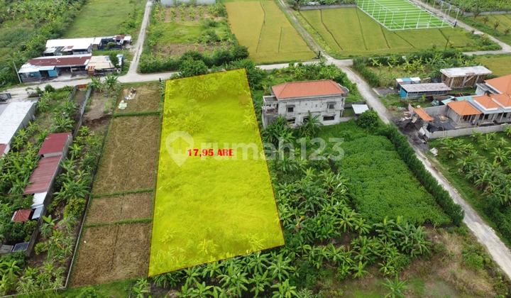 Land for Sale in Kediri Location