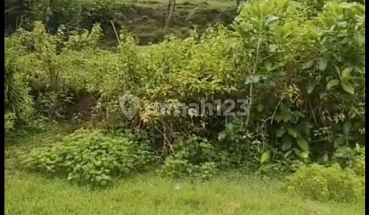 Land for Sale Location Batuan