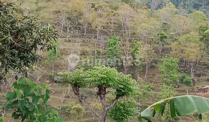 Land For Sale Seraya Location