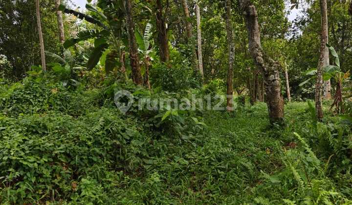 Tanah Jual Lokasi Selat