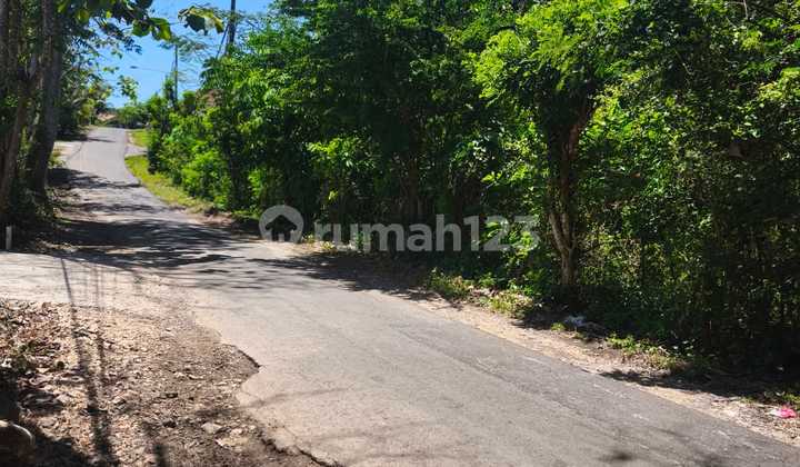 Land for Sale in Nusa Dua