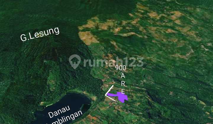 Land for Sale, Munduk Location Land for Sale, Munduk Location