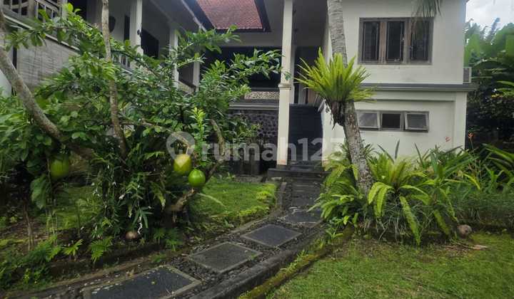 House For Sale Location Ubud 1
