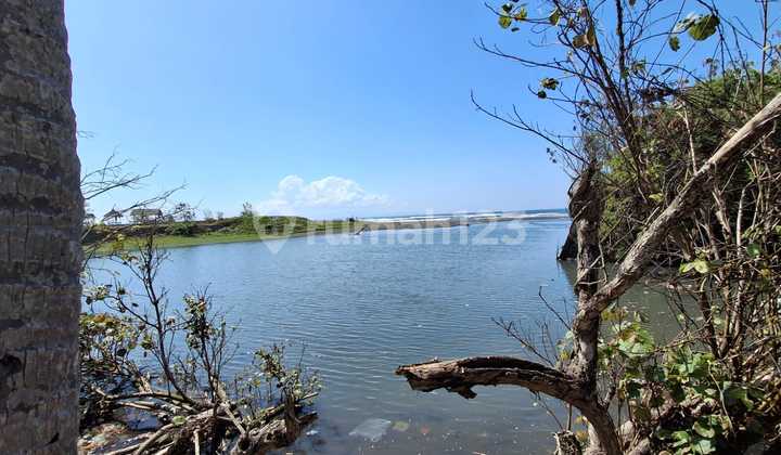 Tanah Jual Lokasi Ketewel Tanah Jual Lokasi Ketewel