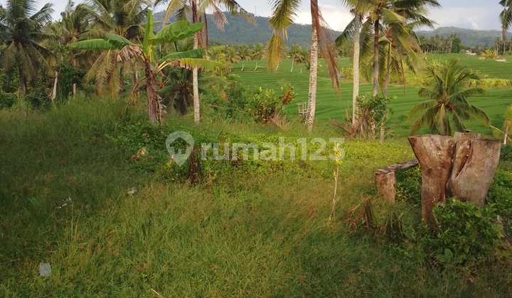 Land for Sale Selemadeg Location