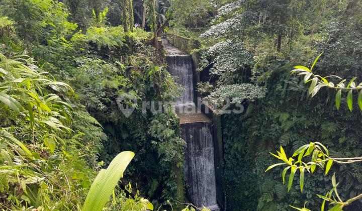Tanah Jual Lokasi Tegallalang