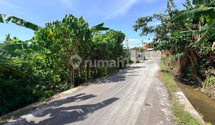 Land for Sale Location Pererenan