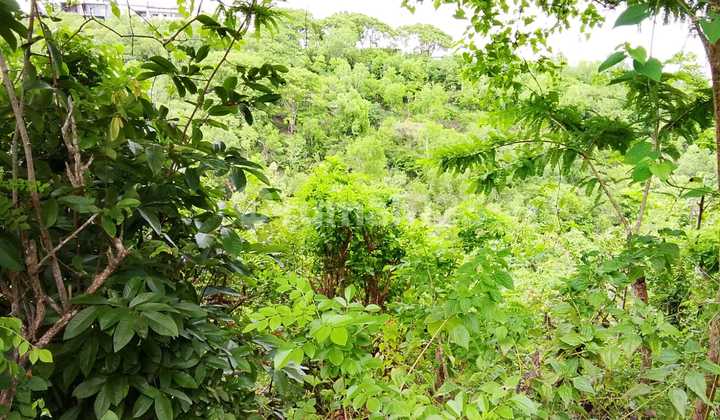 Land for Sale in Nusa Dua Location