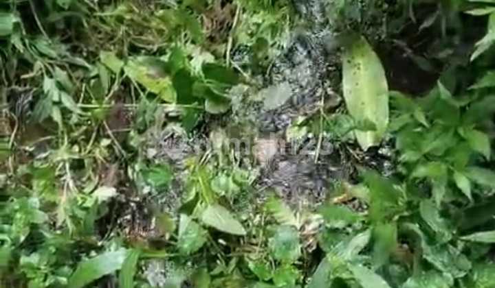 Land for Sale in Munduk Location