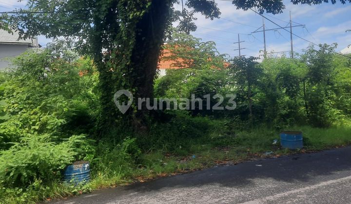 Tanah Jual Lokasi Kerobokan