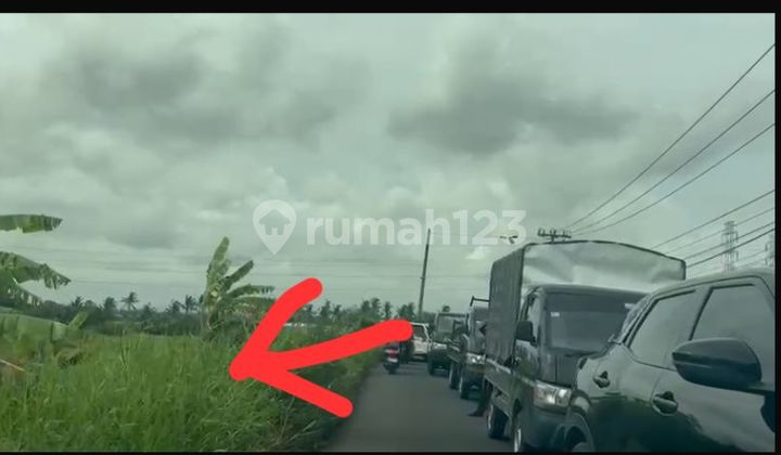 Land for Sale Location Kaba Kaba