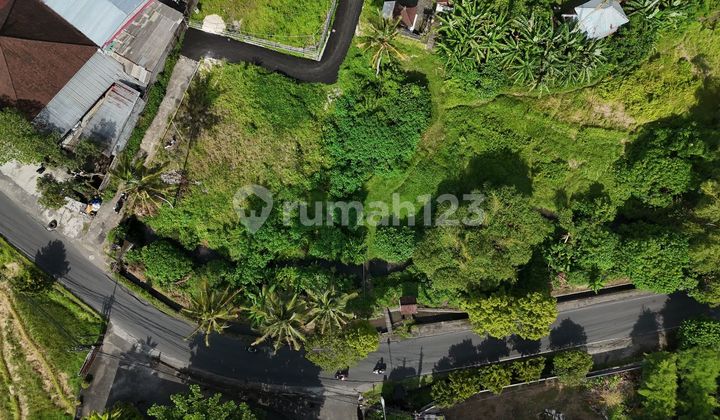 Land for Sale in Ubud Location