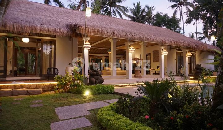 Villa Jual Lokasi Tegallalang Villa Jual Lokasi Tegallalang