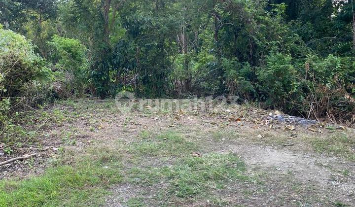 Land for Sale Location Nusa Dua
