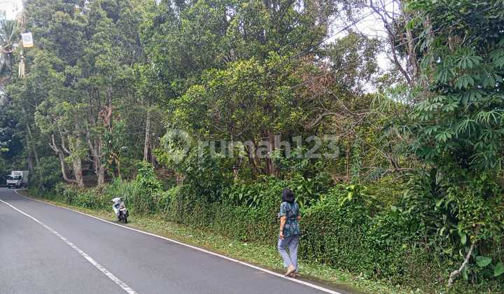 Tanah Jual Lokasi Munduk