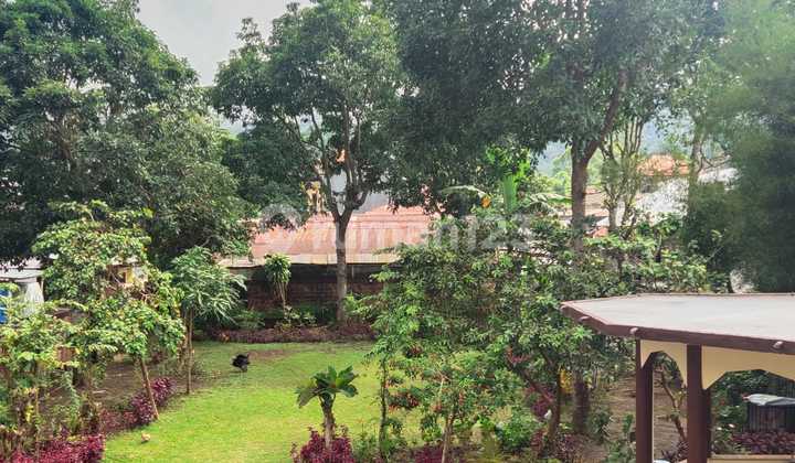 Rumah Jual Lokasi Bedugul Rumah Jual Lokasi Bedugul