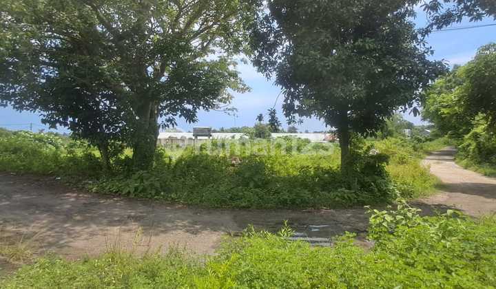 Tanah Jual Lokasi Jimbaran Tanah Jual Lokasi Jimbaran