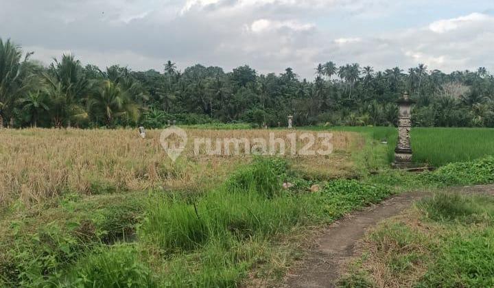 Tanah Jual Lokasi Kerambitan