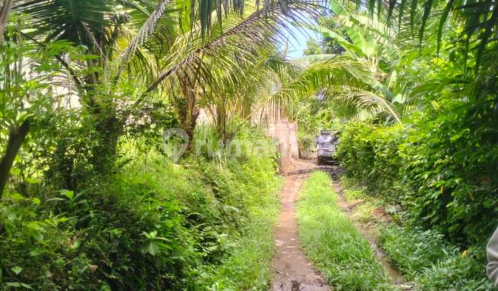 Tanah Jual Lokasi Gianyar