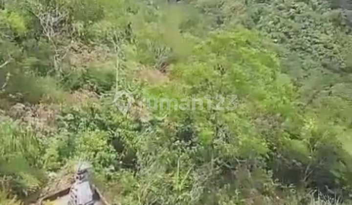 Tanah Jual Lokasi Kintamani Tanah Jual Lokasi Kintamani