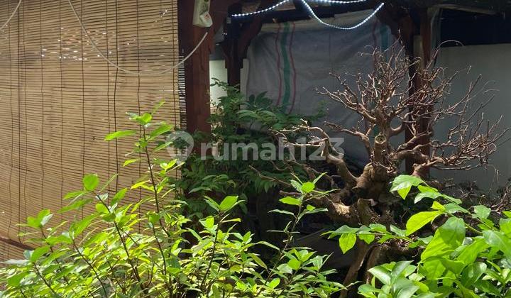 House for Sale Demak Temple Location 2