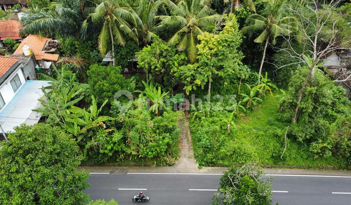 Land for Sale Location Bongkasa