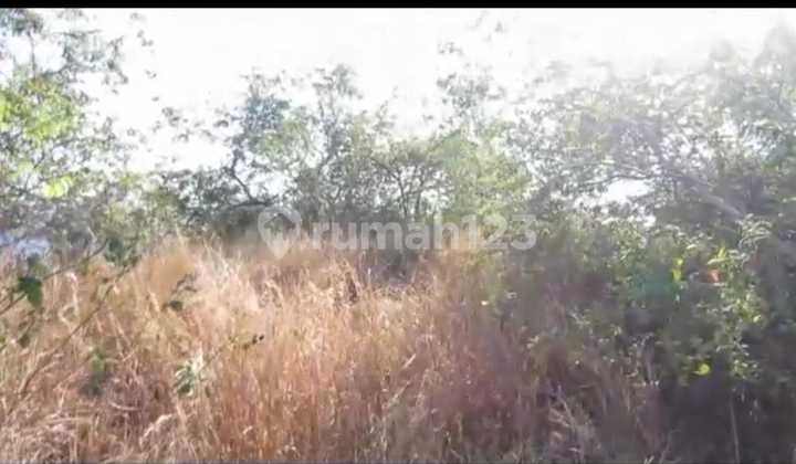 Tanah Jual Lokasi Amed Tanah Jual Lokasi Amed