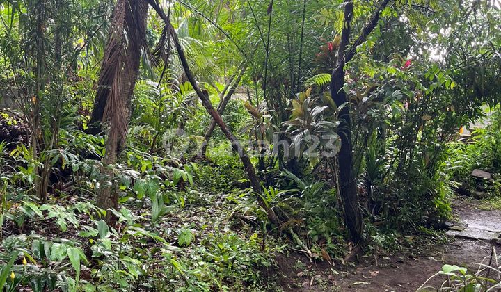 Tanah Jual Lokasi Batu Bulan