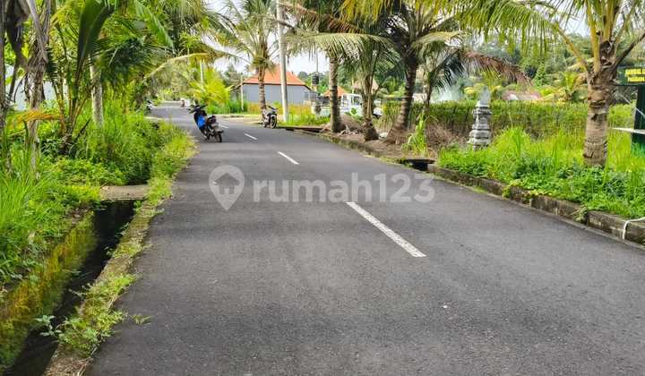Land for Sale in Sembung Location