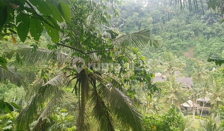 Tanah Jual Lokasi Kedewatan