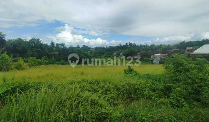 Land For Sale Location Mandung