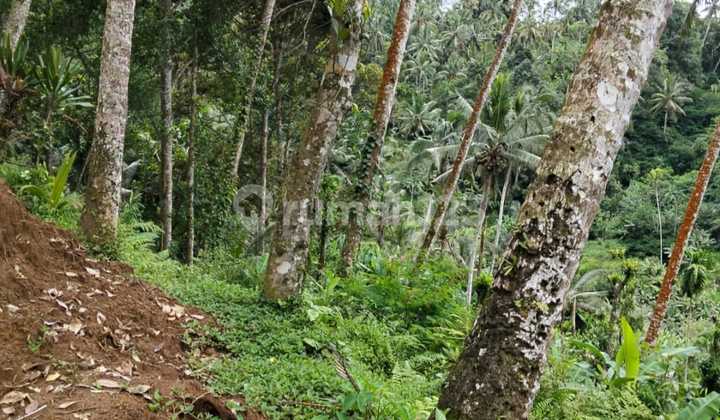 Tanah Jual Lokasi Payangan