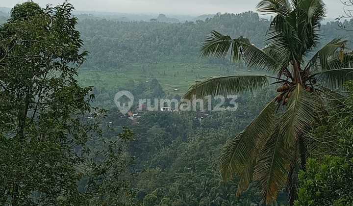 Land for Sale Location Sidemen