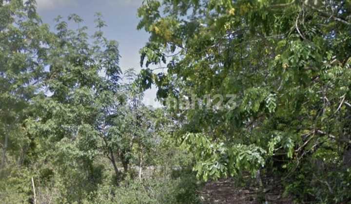 Certificate of Land Ownership