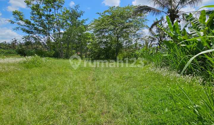 Tanah Jual Lokasi Bukian