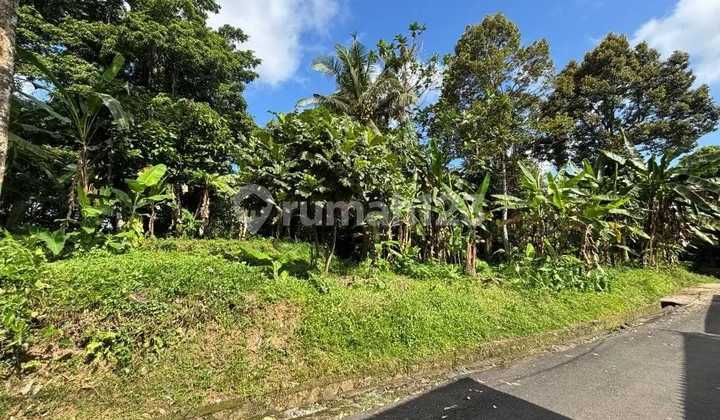 Tanah Jual Lokasi Katik Lantang Tanah Jual Lokasi Katik Lantang