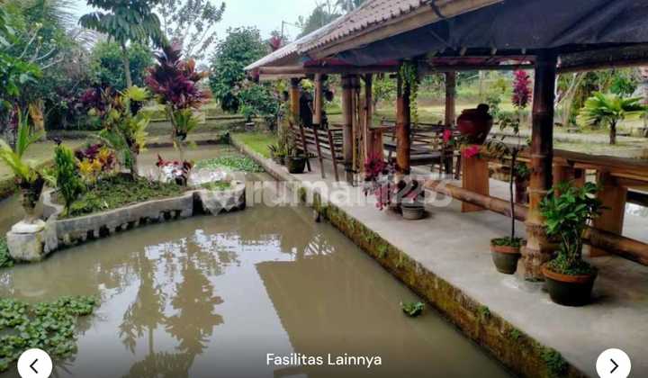 Land for Sale Location Jatiluwih