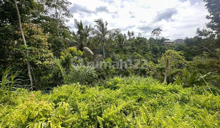 Tanah Jual Lokasi Kenderan