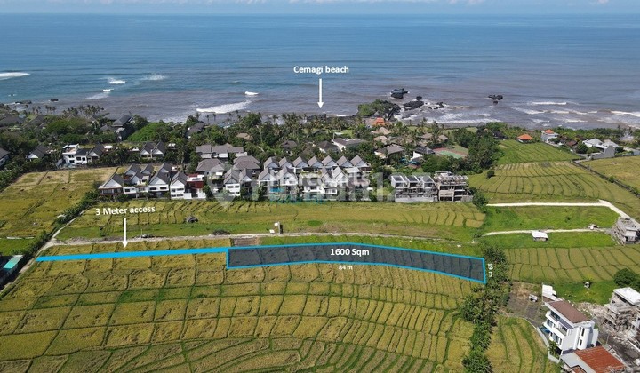 Freehold Land with Ocean View in Cemagi – Only 300 Meters from the Beach