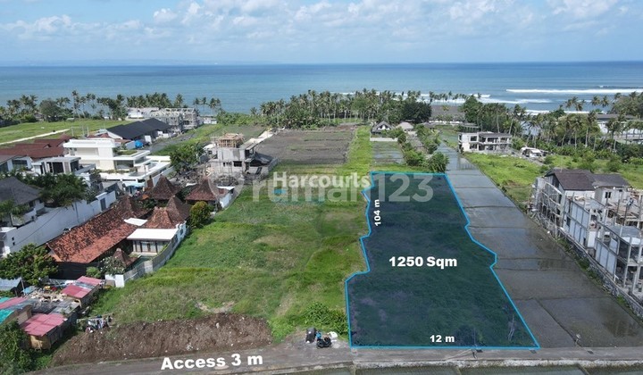 Tanah Sewa 1250 m2 dengan Pemandangan Laut dan Sawah di Seseh