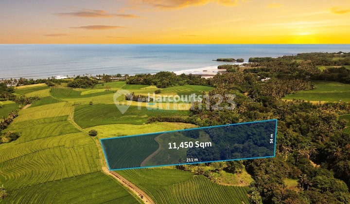 Tanah Hak Milik Luas dengan Pemandangan Laut, Gunung, dan Sawah di Tabanan Tanah Hak Milik Luas dengan Pemandangan Laut, Gunung, dan Sawah di Tabanan