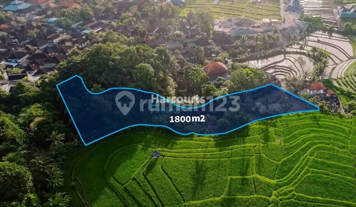 Lahan Dikelilingi View Jalur Hijau – Tumbak Bayuh Lahan Dikelilingi View Jalur Hijau – Tumbak Bayuh