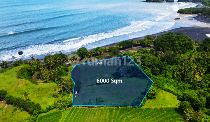 Tanah Tepi Pantai yang Luas dengan Pemandangan Laut, Sawah & Gunung di Tabanan Tanah Tepi Pantai yang Luas dengan Pemandangan Laut, Sawah & Gunung di Tabanan