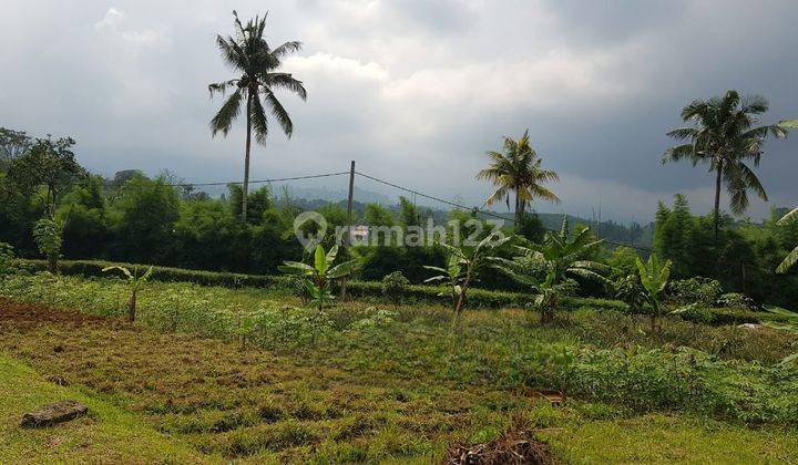 Tanah Lahan Siap Garap Subang Cisaat Jawa Barat 1