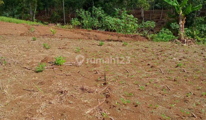 Tanah Siap Garap Harga Murah Cocok Untuk Cluster 1