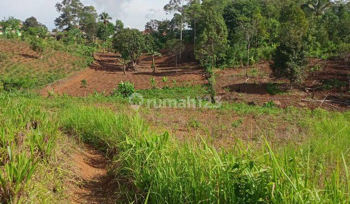 Tanah Siap Garap Harga Murah Cocok Untuk Cluster 2