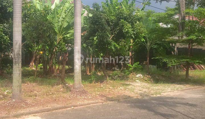 Kavling Siap Bangun Cocok Untuk Tempat Tinggal Di Jombang 1