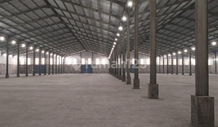 Disewakan Gudang Luas Balaraja Timur Tangerang Disewakan Gudang Luas Balaraja Timur Tangerang